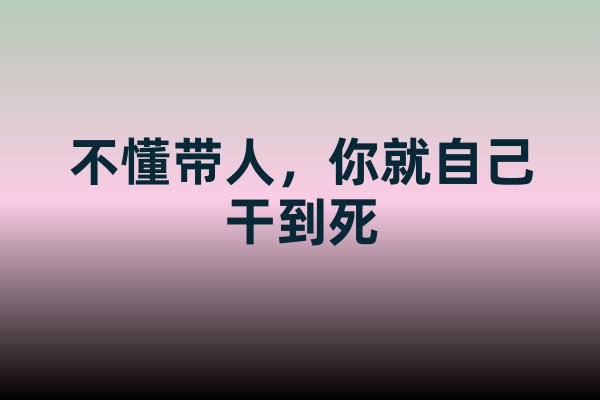 總結(jié)來(lái)自路易斯·卡夫曼所著的《不懂帶人，你就自己干到死》