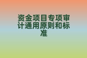 《深圳市工業和信息化局專項資金項目專項審計通用原則和標準（2022版）》政策解讀